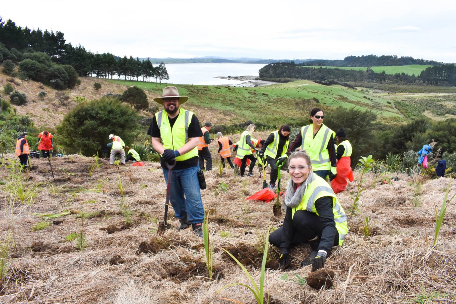 environmental research jobs new zealand